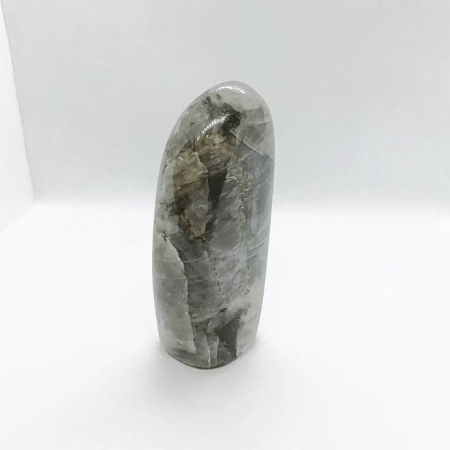 Labradorite - Type Spectrolite - Forme libre N° 1