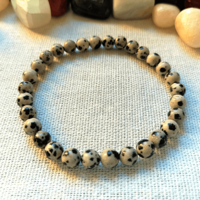 Bracelet Jaspe Dalmatien 6 mm