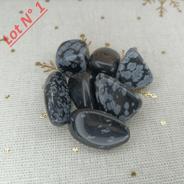 Obsidienne Neige / Pierres Roulées / Lot N° 1