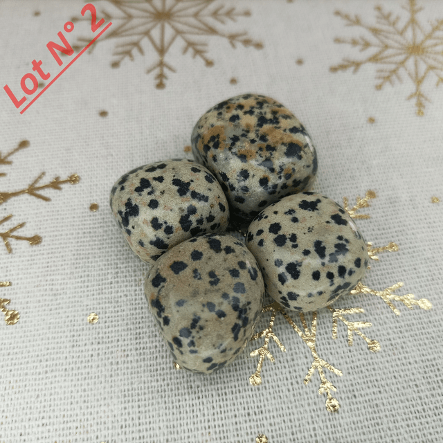 Jaspe Dalmatien / Pierres Roulées / Lot N° 2