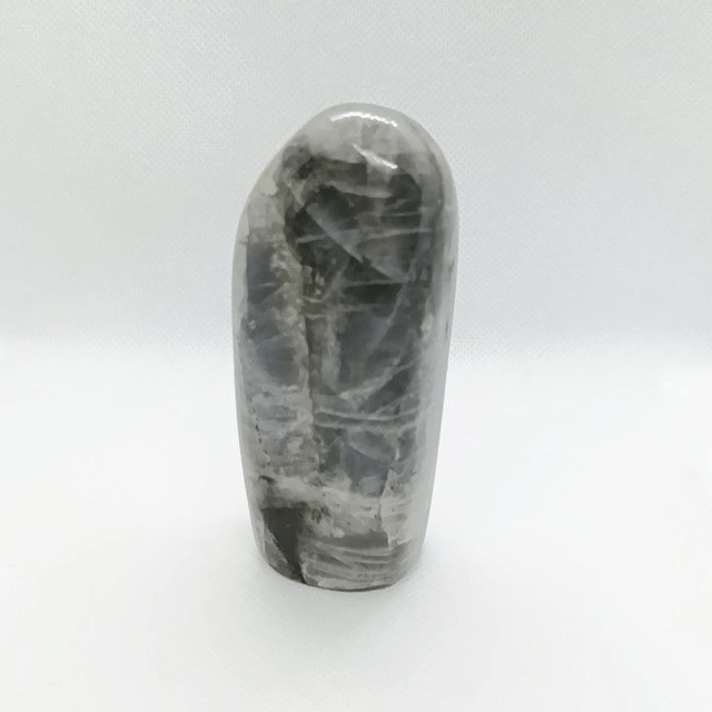 Labradorite - Type Spectrolite - Forme libre N° 1