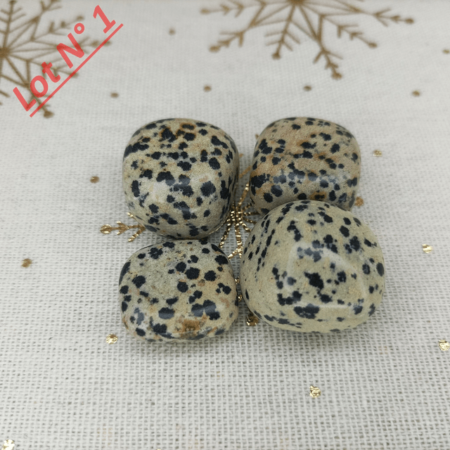 Jaspe Dalmatien / Pierres Roulées / Lot N° 1