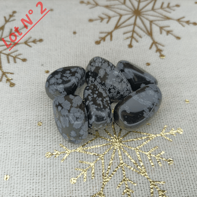 Obsidienne Neige / Pierres Roulées / Lot N° 2
