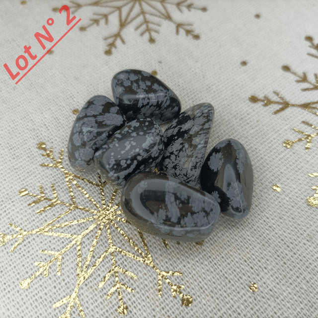 Obsidienne Neige / Pierres Roulées / Lot N° 2