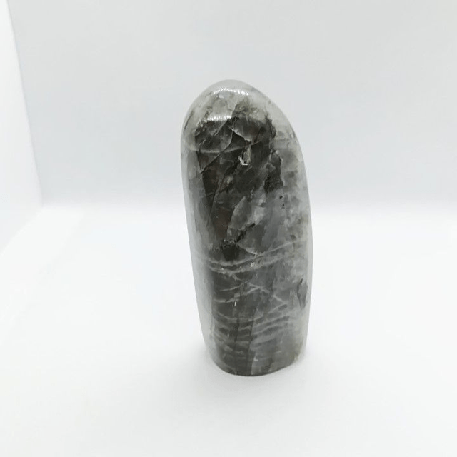 Labradorite - Type Spectrolite - Forme libre N° 1