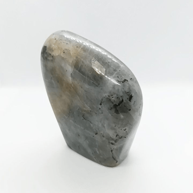 Labradorite - Type Spectrolite - Forme libre N° 2
