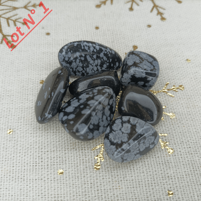 Obsidienne Neige / Pierres Roulées / Lot N° 1