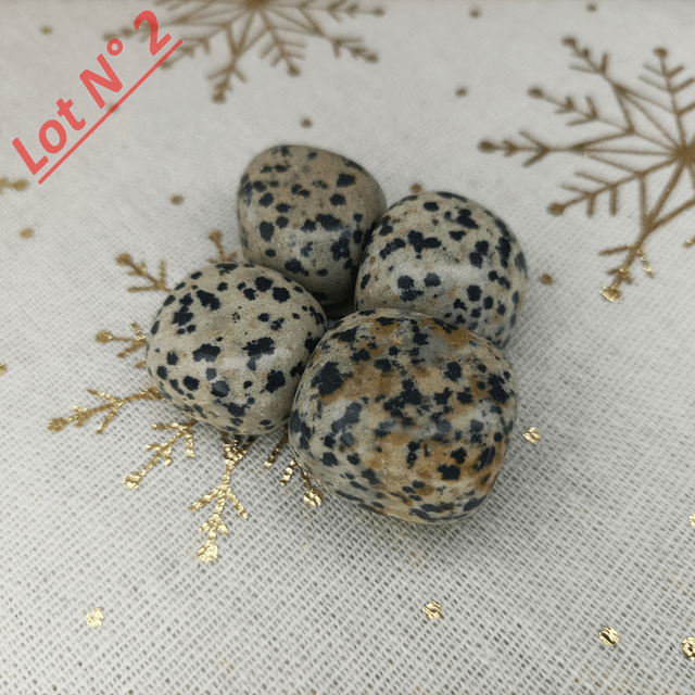 Jaspe Dalmatien / Pierres Roulées / Lot N° 2