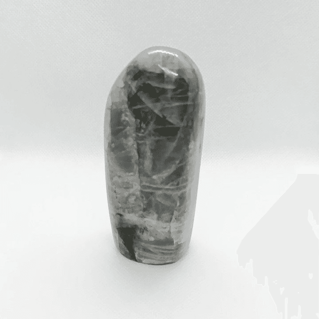 Labradorite - Type Spectrolite - Forme libre N° 1