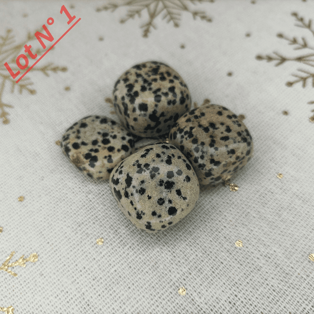 Jaspe Dalmatien / Pierres Roulées / Lot N° 1
