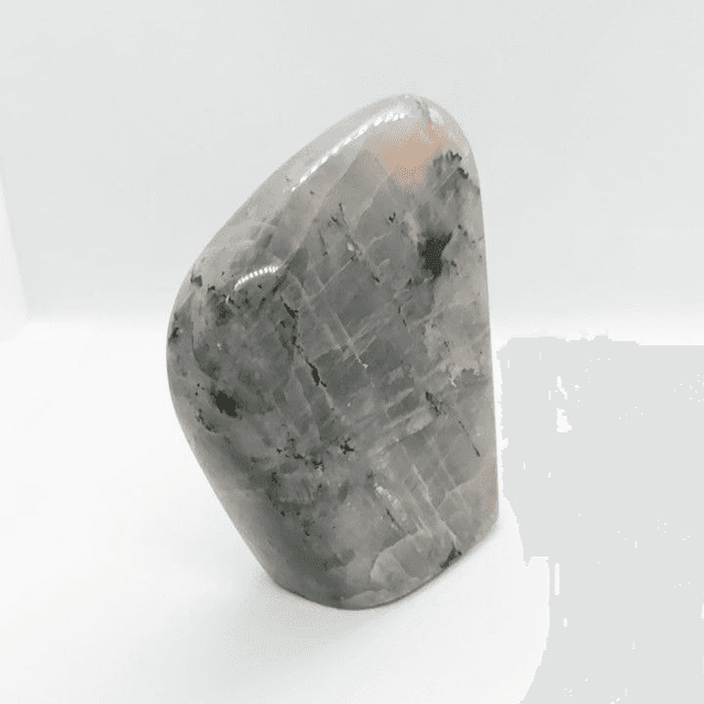 Labradorite - Type Spectrolite - Forme libre N° 2